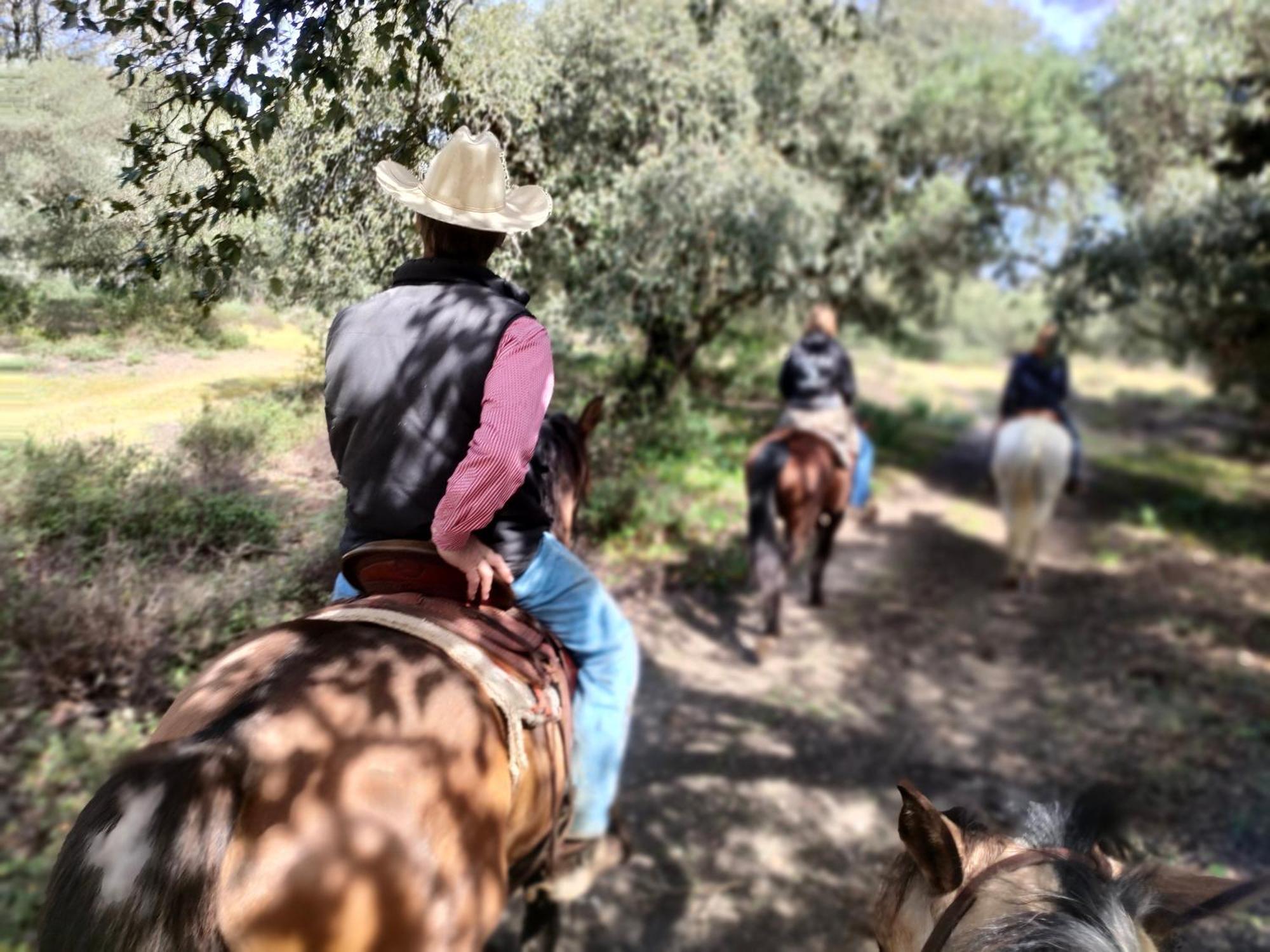 Cabana Rustica En Un Rancho Con Caballos, Prado Del Rey, Andalucia Exterior foto