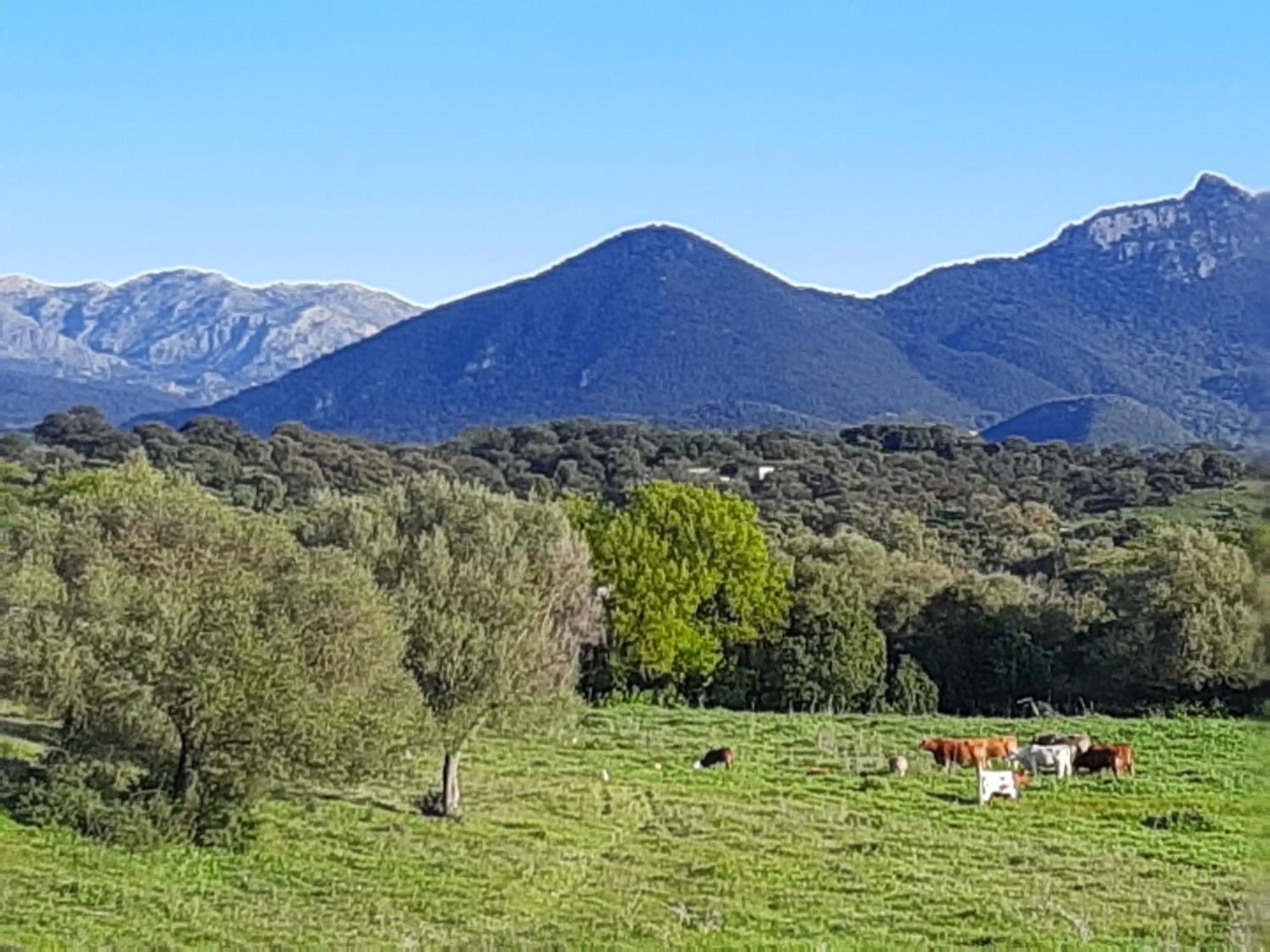 Cabana Rustica En Un Rancho Con Caballos, Prado Del Rey, Andalucia Exterior foto
