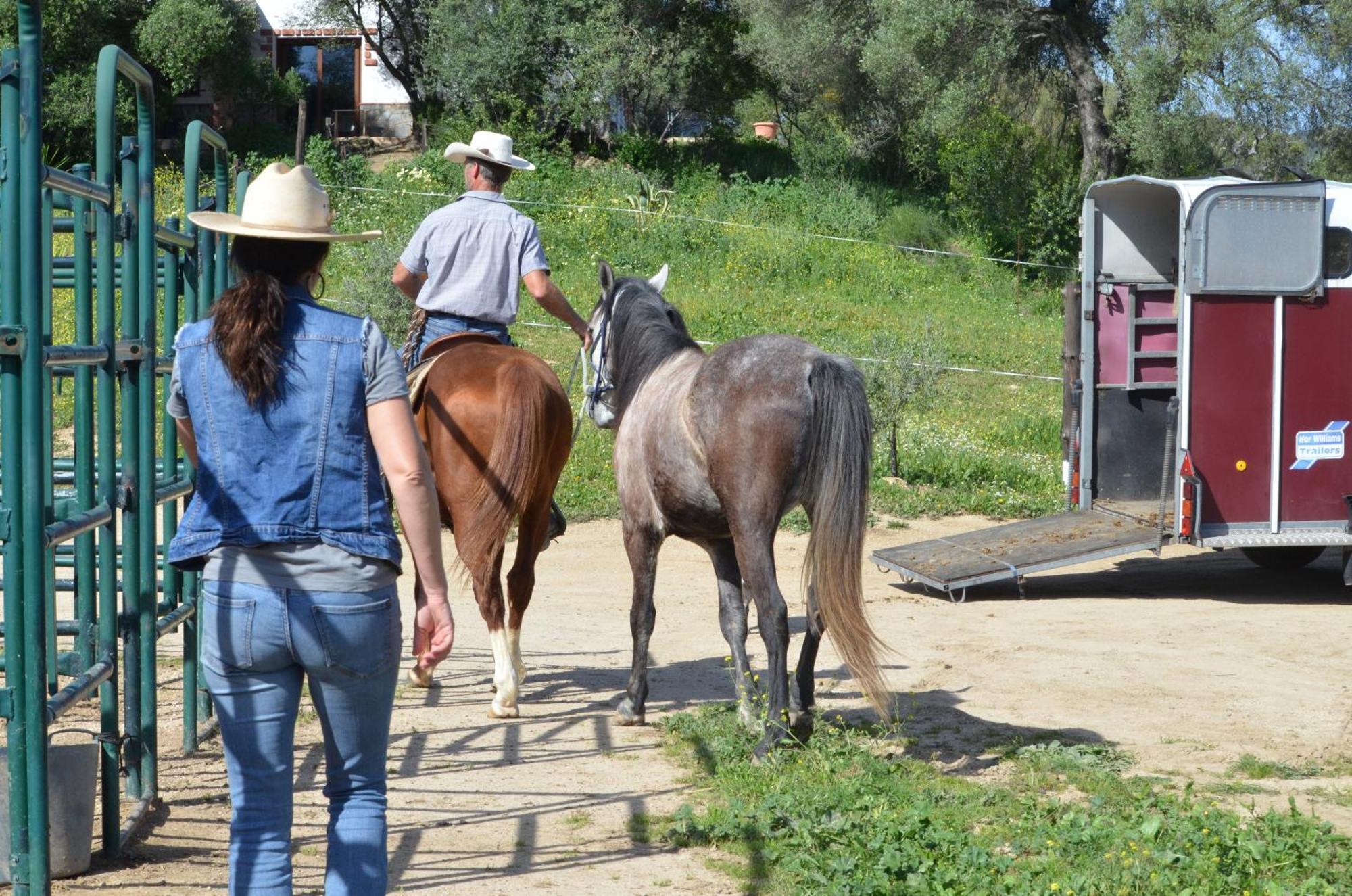 Cabana Rustica En Un Rancho Con Caballos, Prado Del Rey, Andalucia Exterior foto