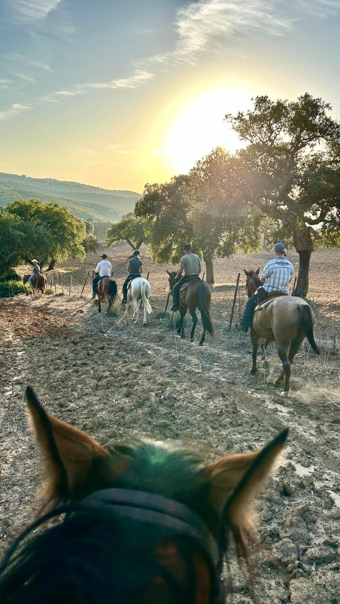 Cabana Rustica En Un Rancho Con Caballos, Prado Del Rey, Andalucia Exterior foto